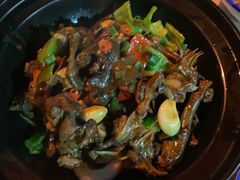 -龙小海荆沙鸽子店(瑞安街店)