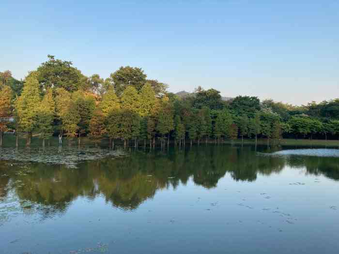 华南植物园烧烤场-"在华南植物园里面,离北门比较近,但离停车.