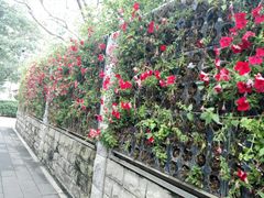 -招商银行(厦门鹭江支行)