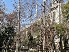 -龟山风景区-龟山电视塔