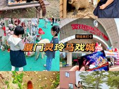-灵玲国际马戏城