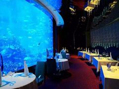 -迪拜帆船酒店海底餐厅