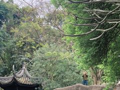 -深圳国际园林花卉博览园