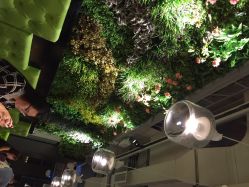 香草美匙花漾料理(万象城店)-香草美匙