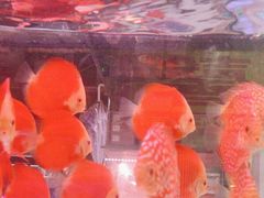 -三旗百汇商品城