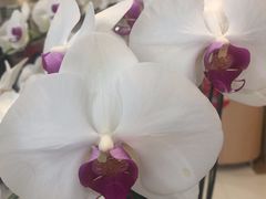 -纽斯桑拿会所(天山店)