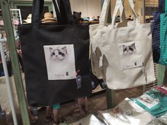 -猫咪博物馆(顶澳仔猫街店)