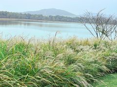 -羊山湖公园
