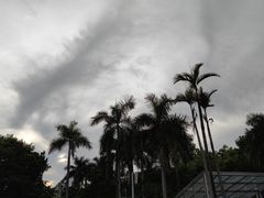 -深圳少年儿童图书馆