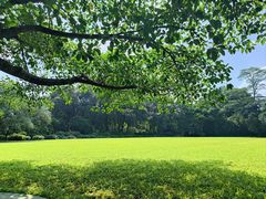 -中国科学院华南植物园
