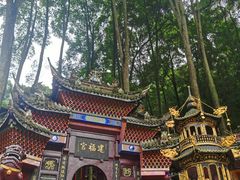 -青城山