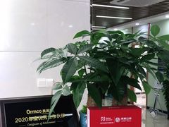 -茂菊口腔连锁(浦东南路店)