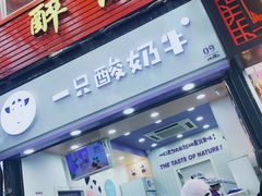门面-一只酸奶牛(八一路店)