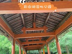 -重庆彩云湖湿地公园