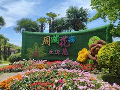 -周浦花海