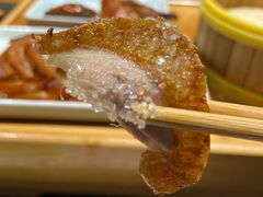 普通精品烤鸭-北平盛世·新京菜·北京烤鸭(劲松·双井店)