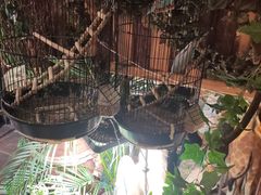 -西西里轰趴日租聚会别墅·团建拓展