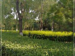 -绿堤公园