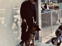 -KingBull私教健身&格斗订制(龙井商业中心店)