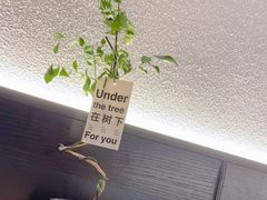 -希屿·Xislands融合餐厅