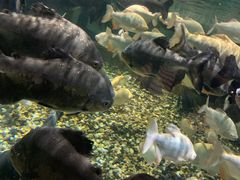 -成都浩海立方海洋公园