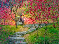 -桃花涧