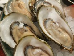 生蚝刺身-一本魅·日式料理
