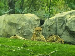 -北京野生动物园