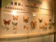 -吉林省自然博物馆