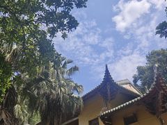 -南华寺素食馆(南华禅寺店)