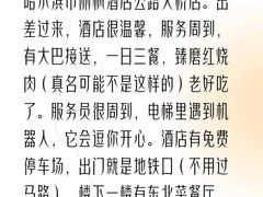 -哈尔滨太平国际机场-T2航站楼