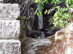-秦岭终南山世界地质公园翠华山景区