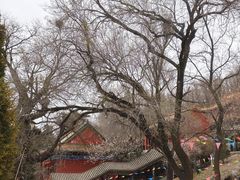 -封龙山风景区