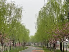 -尚贤河湿地