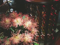 -胡桃里音乐餐厅(陶溪川店)(川湘赣菜·世界百大酒庄直供红酒·音乐表演)