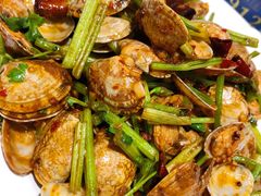 扇贝-紫光园(燕郊总店)