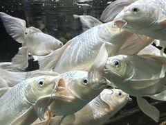 -太平洋海底世界