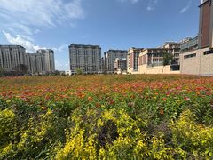 -延京烤肉民俗料理店(欧亚店)