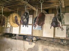 -西双版纳原始森林公园