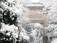 -灵谷景区
