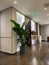 -崇尚GAVIN STYLE臻选