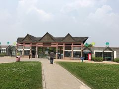 -上海都市菜园