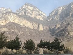 -藏山旅游风景区