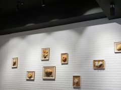 -流酥可心·牛乳蛋糕商店(禾祥西路店)