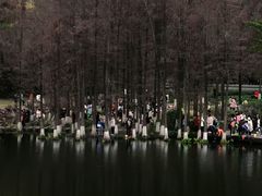 -重庆彩云湖湿地公园