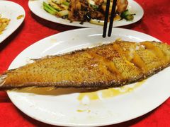 -蛇口康乐快餐鱼仔档(翠苑小区店)