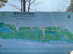 -顾村公园