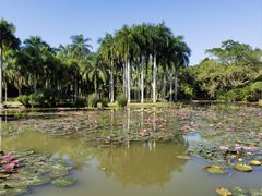 -中国科学院西双版纳热带植物园