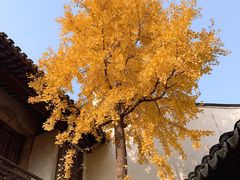 -惠山古镇·寄畅园