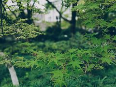 -北山街历史文化街区